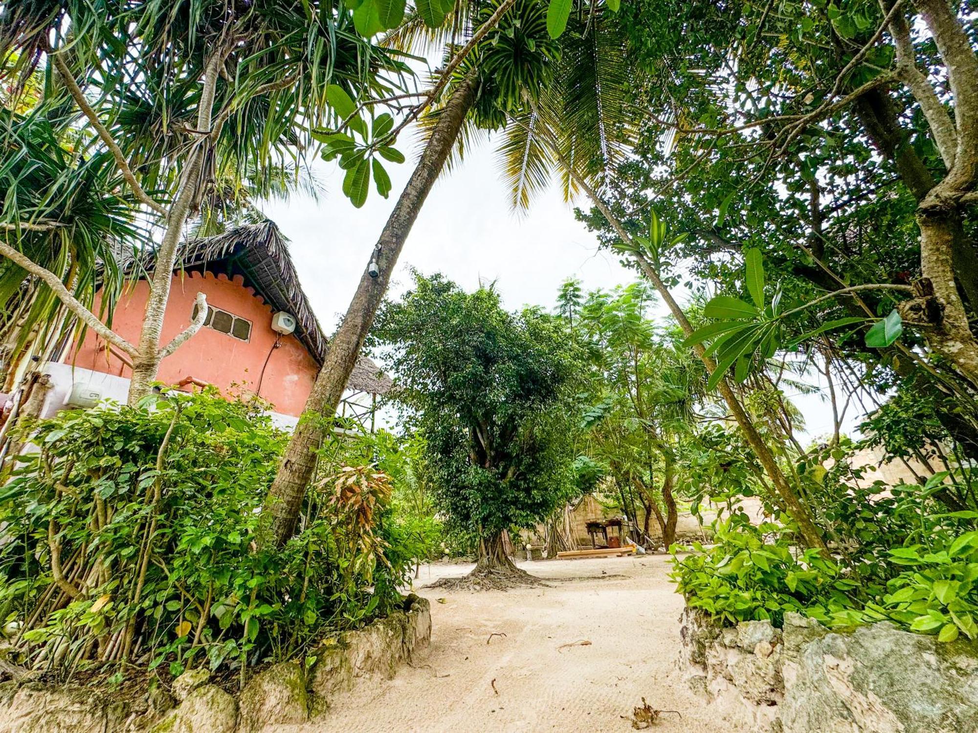 Sagando Bungalows Zanzibar Michamvi 外观 照片